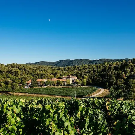 Domaine Calmel&joseph Montirat (Aude)