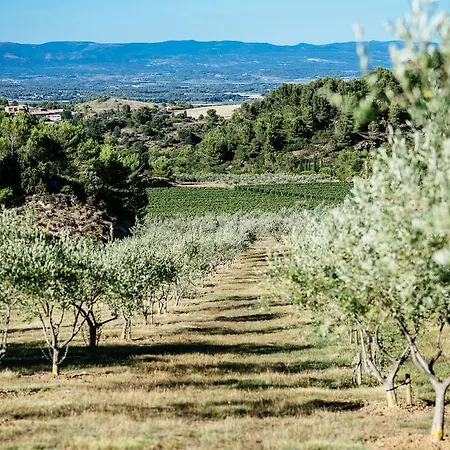 Hébergement de vacances Domaine Calmel&joseph Montirat (Aude)
