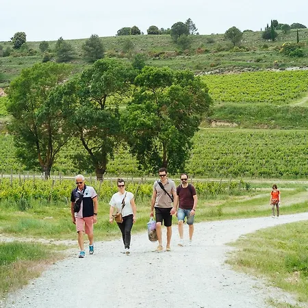 Hébergement de vacances Domaine Calmel&joseph Montirat (Aude)