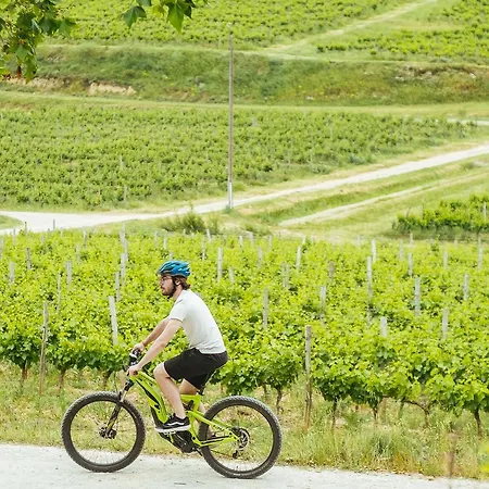 Domaine Calmel & Joseph 度假居 Montirat (Aude)