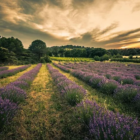 Domaine Calmel&joseph Hébergement de vacances Montirat (Aude)