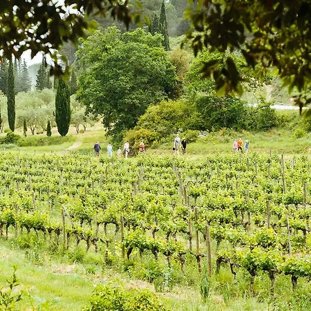 Domaine Calmel&joseph