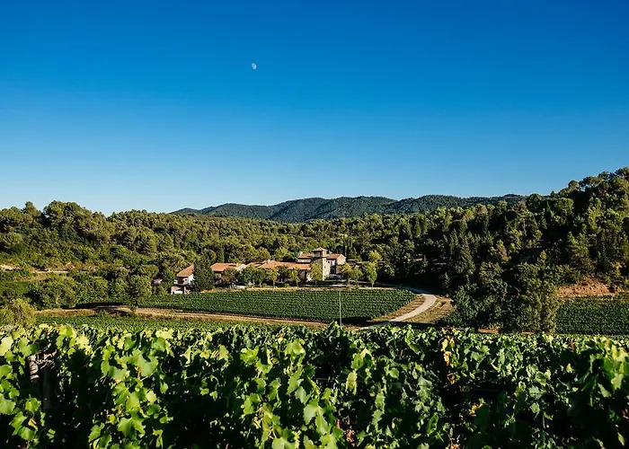 Domaine Calmel & Joseph Montirat
