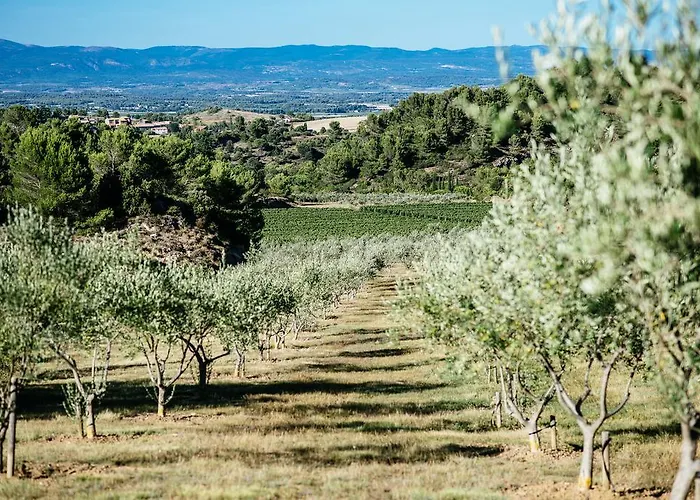 Nyaraló Domaine Calmel & Joseph Montirat