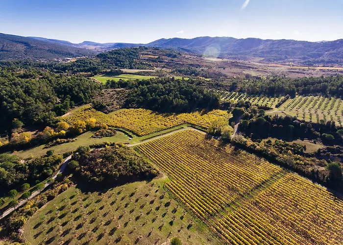 Domaine Calmel & Joseph Nyaraló