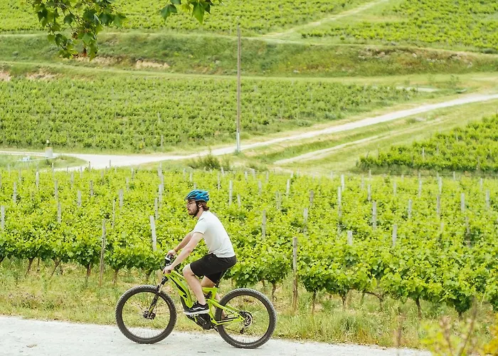 Domaine Calmel & Joseph Nyaraló Montirat