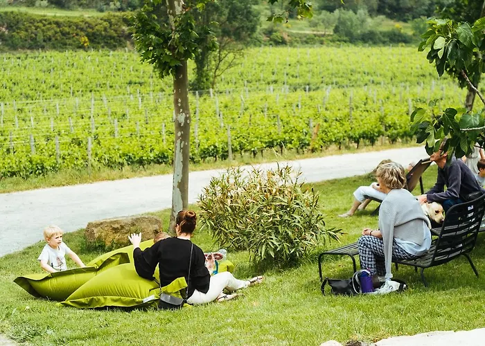 Domaine Calmel & Joseph *