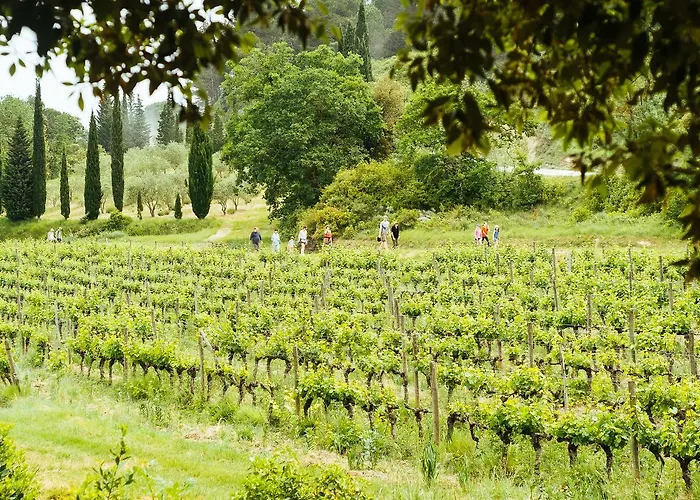 Domaine Calmel & Joseph